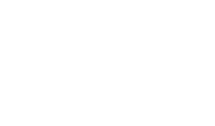 The University of Texas at Austin